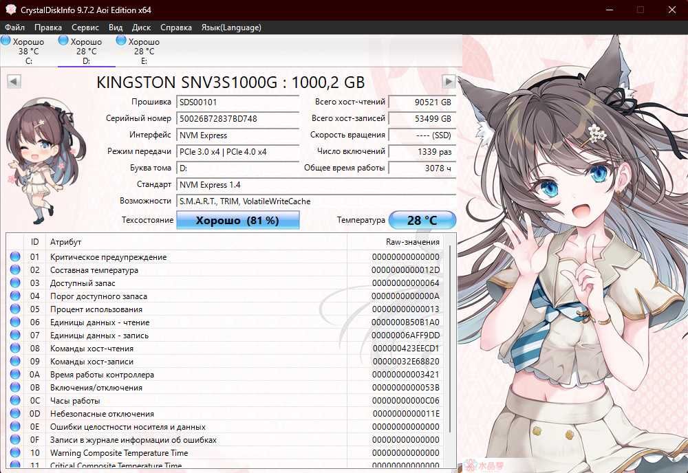 ssd 1000 ГБ M.2 NVMe Kingston NV3