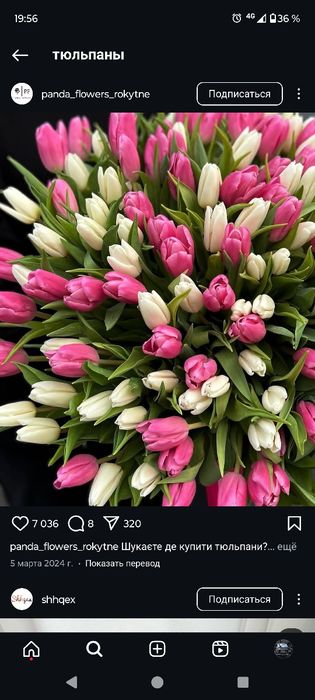 Тюльпаны к 8 марта