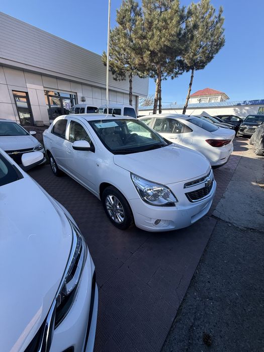 Cobalt 2026 без нотариусов