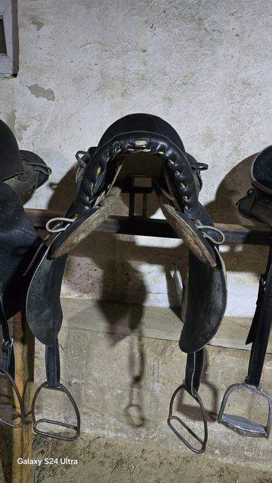 Ер тоқым сатылады