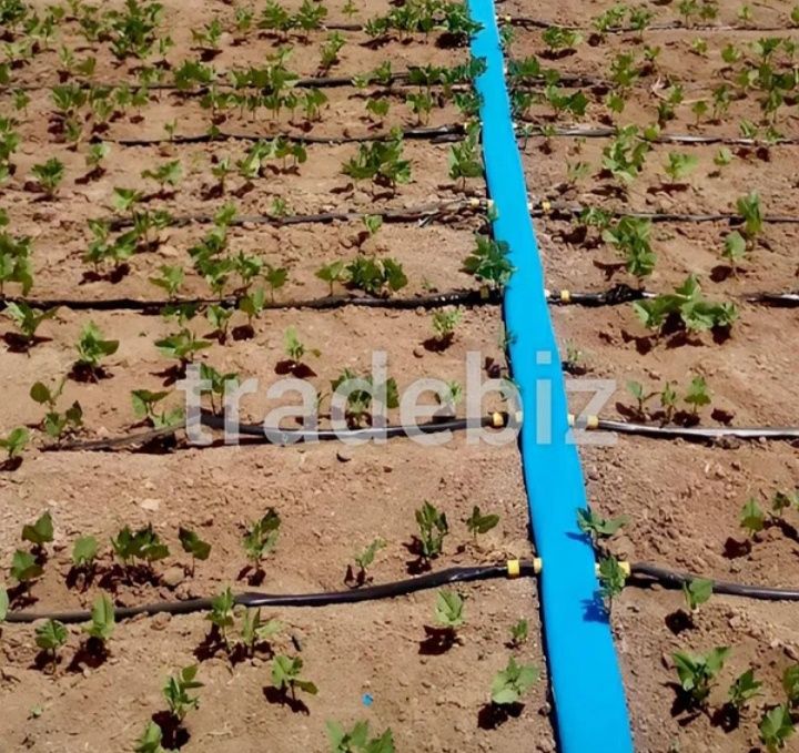 Лейфлет шланг Ø125 (5’’),  в бухте 100м.