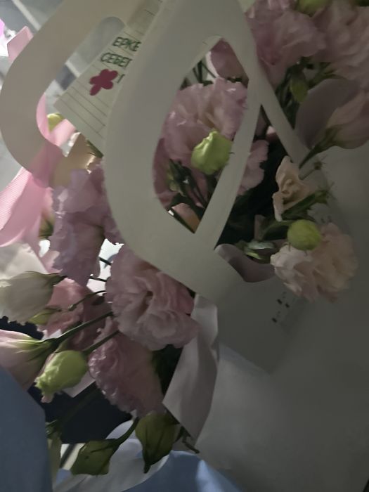 Гүл свежий Букеттик