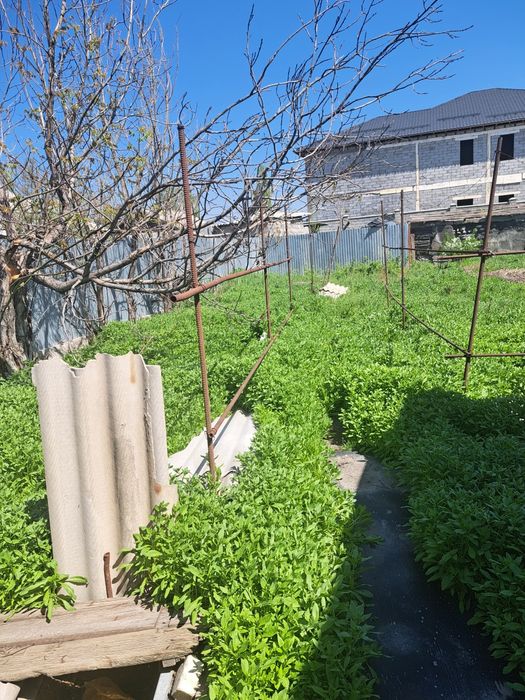 Продам дом в залинии