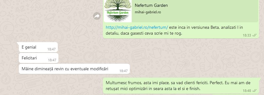 Creare site-uri prezentare / magazine online / logo-uri firme!