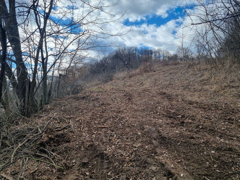 Teren extravilan si intravilan de vanzare in Valcea, Opatesti