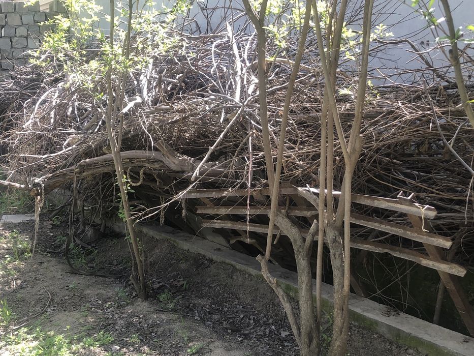 O’tin sotamiz holati yaxshi