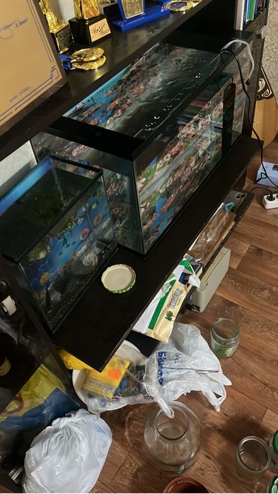 Продается карась