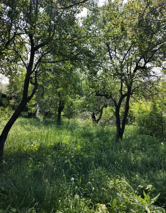 Продам дачу (6 соток)! Долан