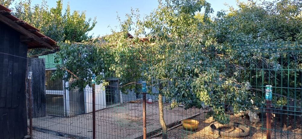 Vand casa la Terpezita