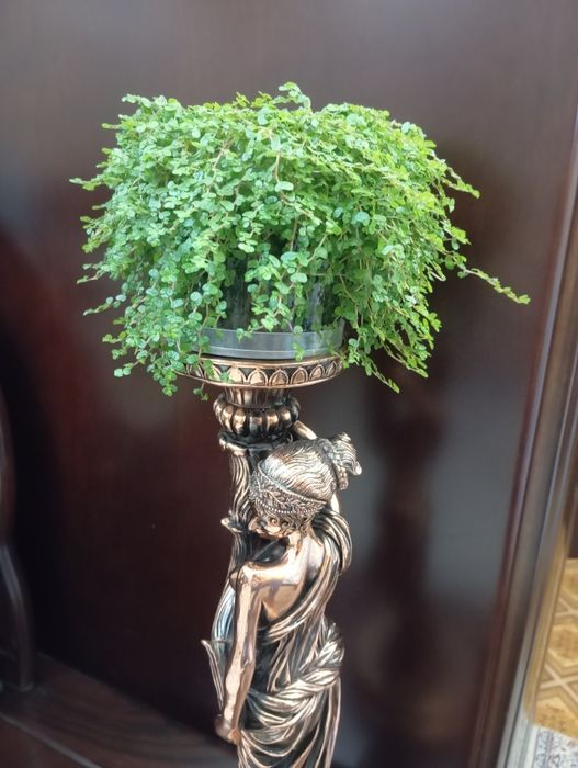 Подсвечник decorolla большой