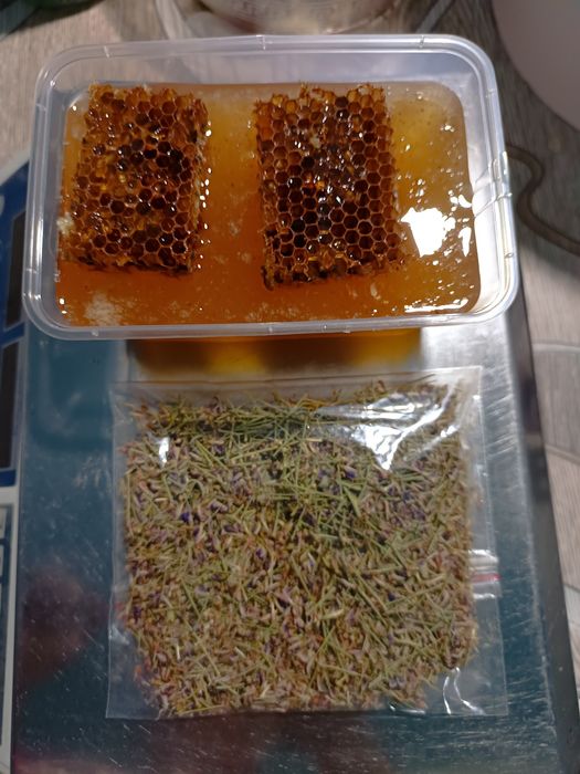 Asal choʻl asali (Мед пустынный)