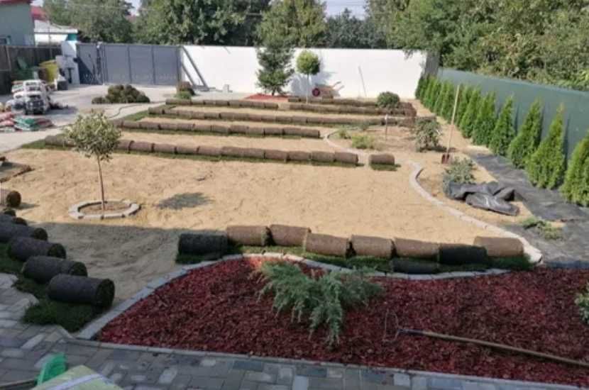 Gazon Dens și Sănătos pentru Grădină – Livrare Inclusă