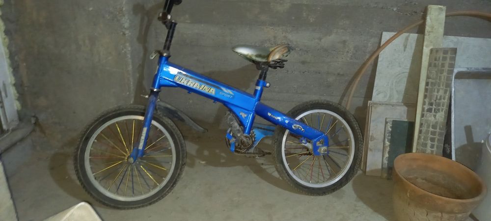Velik 24 va 16  1+1