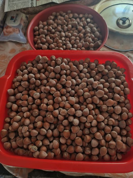 Продавам лешници