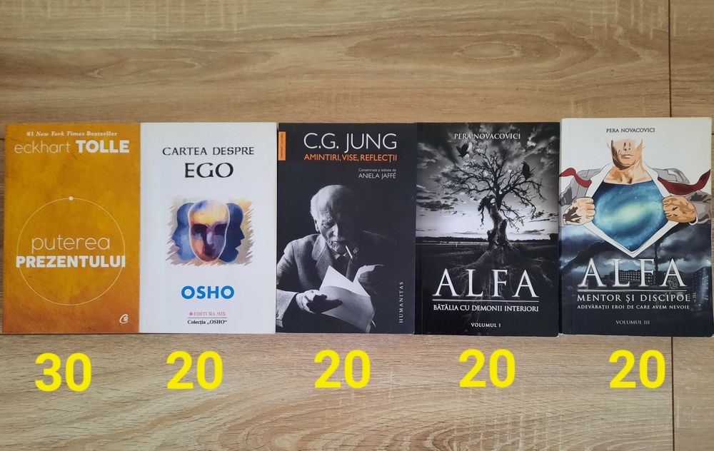 Cărți dezvoltare personală + altele