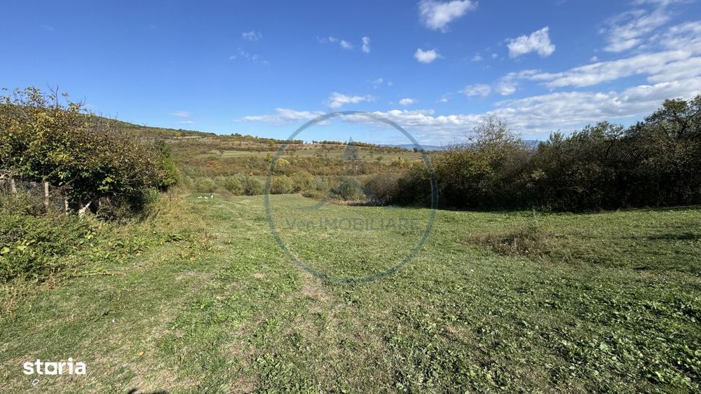 Teren intravilan de vanzare - 4.443 mp, parcelat in 4 loturi