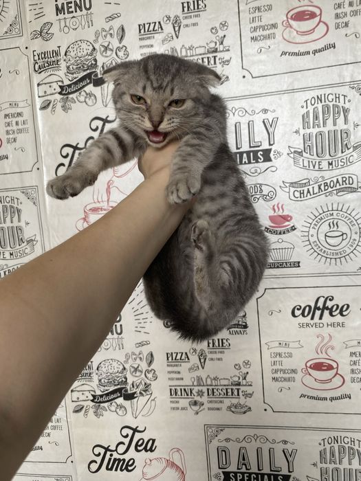 Обмен на детский гарнитур