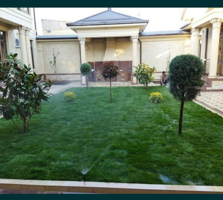 Газон тайёри ва ўруғдан экамиз гарантия 100%