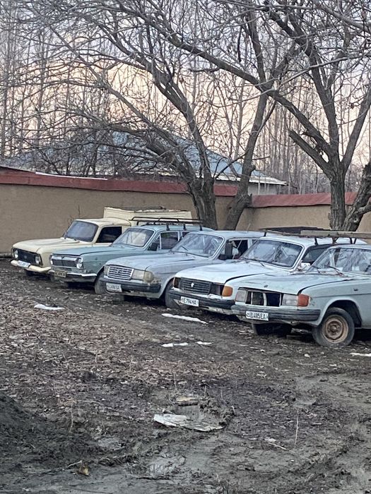 Gaz 24 31 volgalar sotiladi