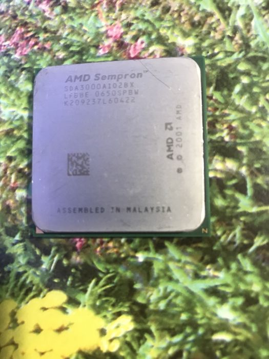 AMD Sempron 64 3000+ AM2 Процесор