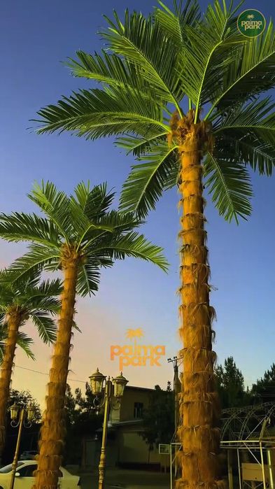 Искусственные пальмы