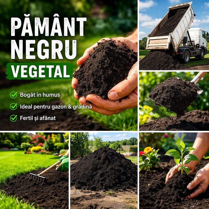 Pământ negru de calitate superioară Constanța – pentru gazon perfect