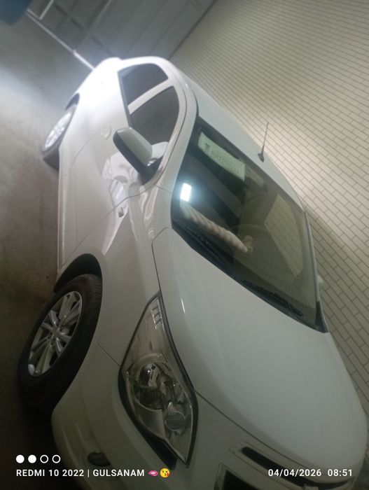 Yangi kobilt sotiladi