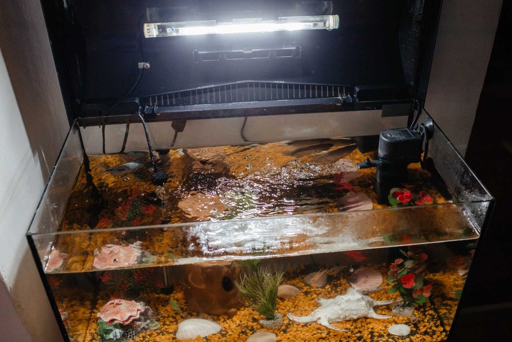 Acvariu 60 litri Aquael - Echipata cu pompa, led, termometru si pesti