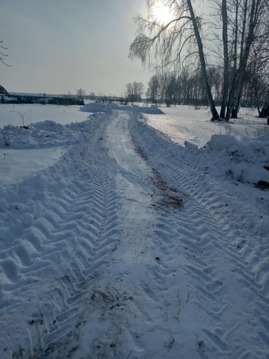 Подам сено в скерде
