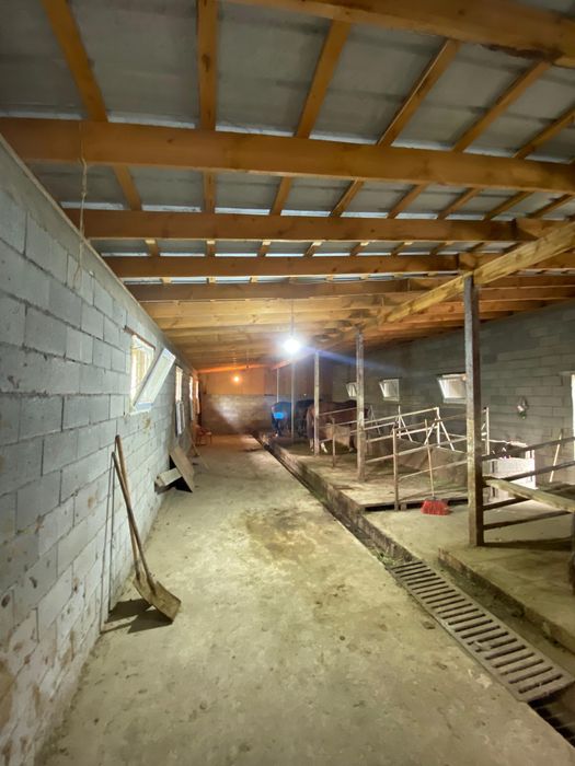 Продается фазенда