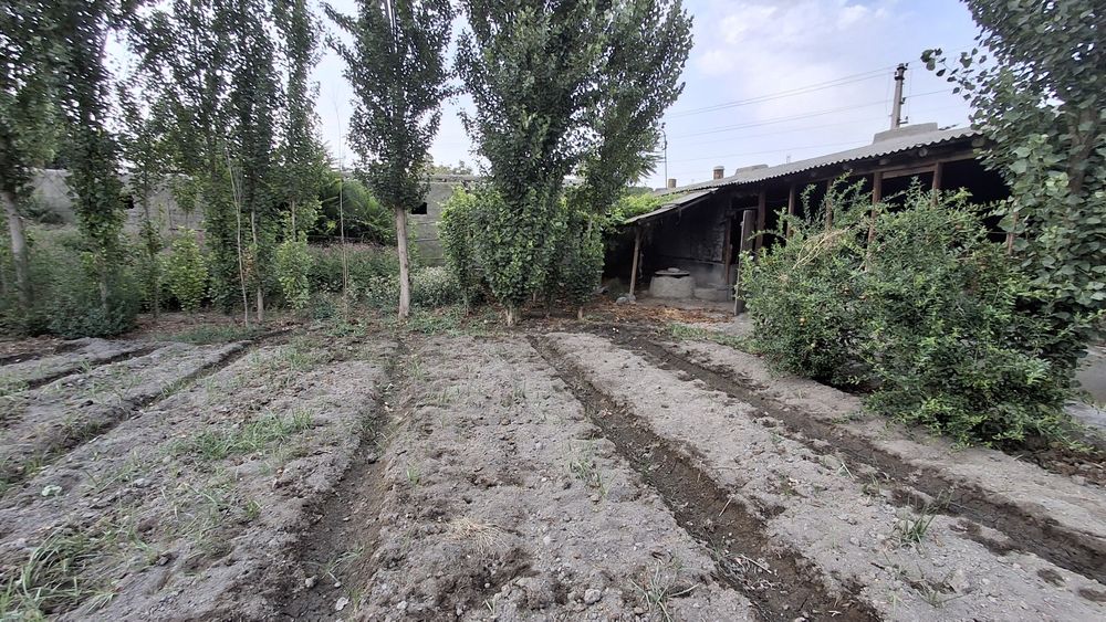 Uchastka sotiladi 12 sotix