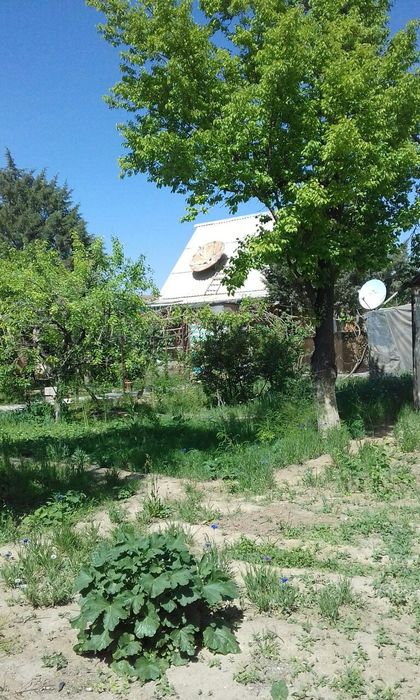 Продам дачу с/о Металлург,ул.Шарк , 3