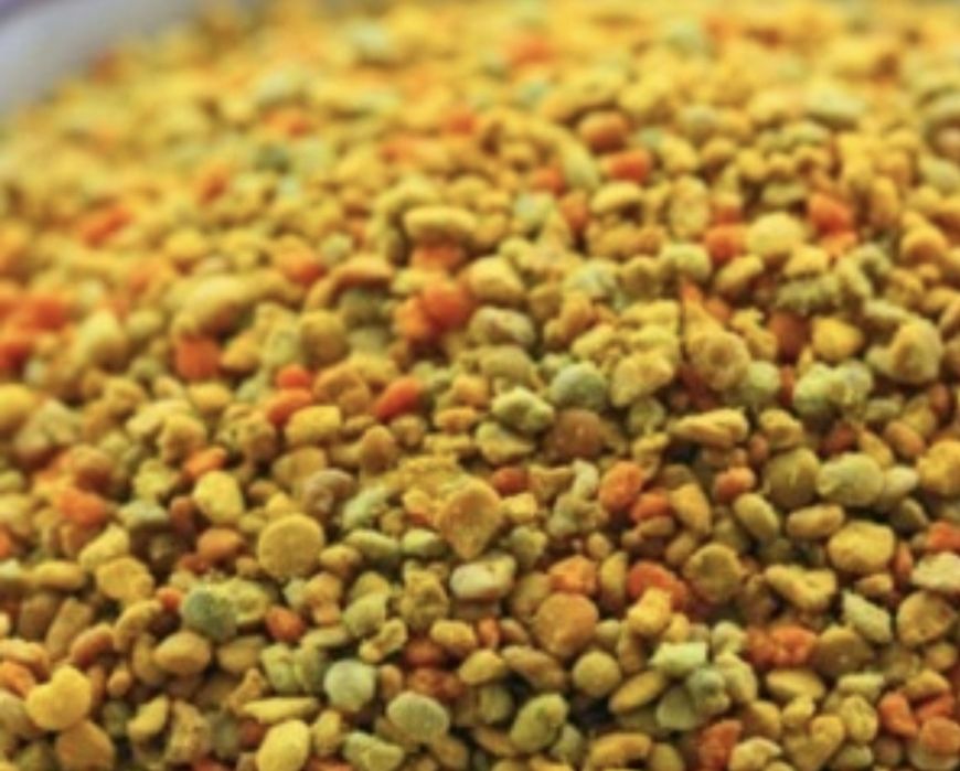 Polen crud păpădie, pomi fructiferi, paducel