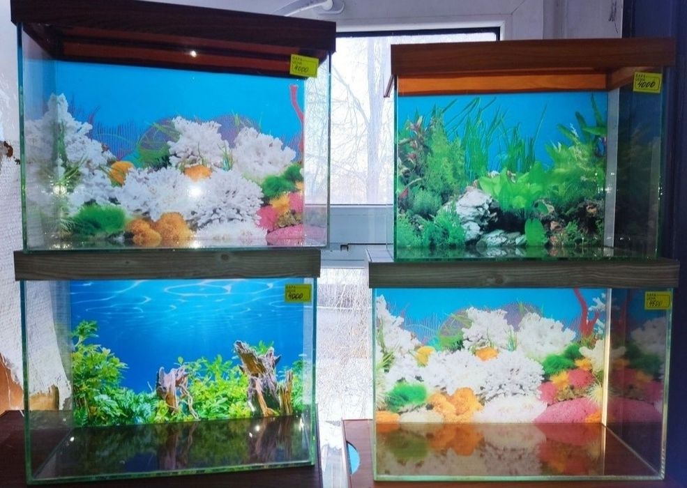 Аквариумы новые с крышками