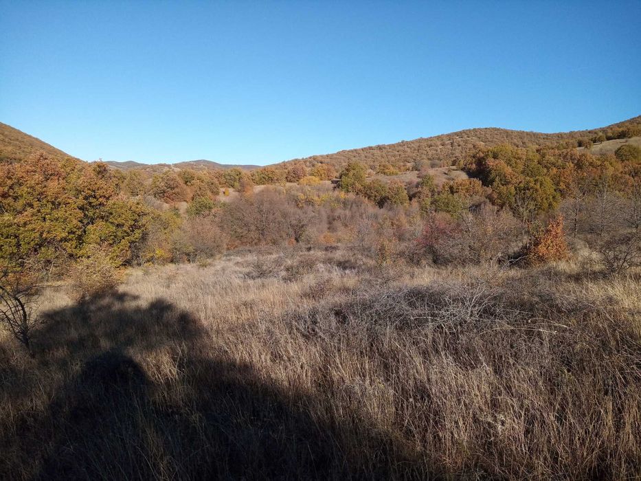 Продава се Парцел в с. Лясково, Област Стара Загора - 6967 кв.м за 5 €/кв.м - Снимка #3