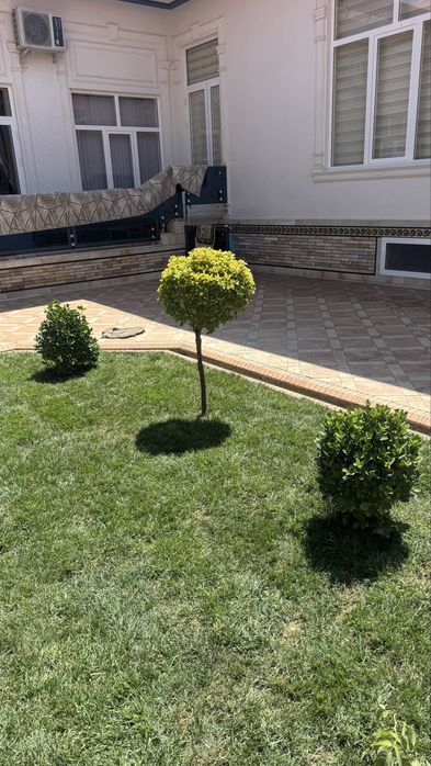 Gazon ekish xizmatlari mavjud