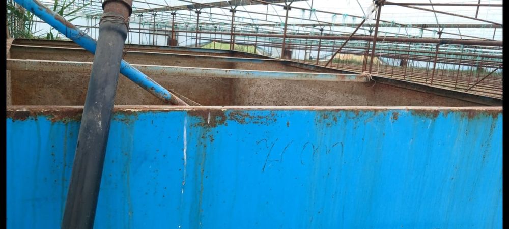 Теплица 32 соток