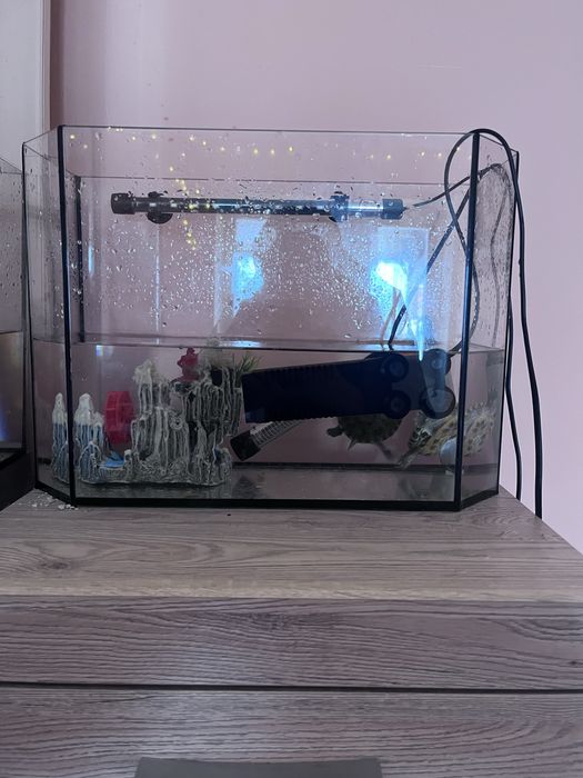 Аквариум с черепахами