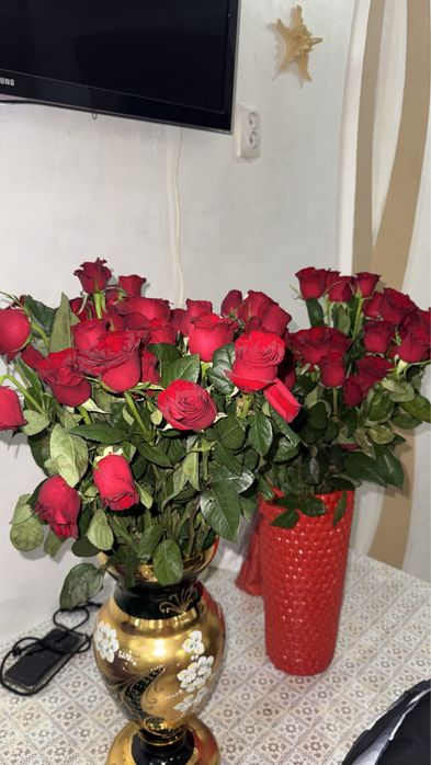 Розы Красные