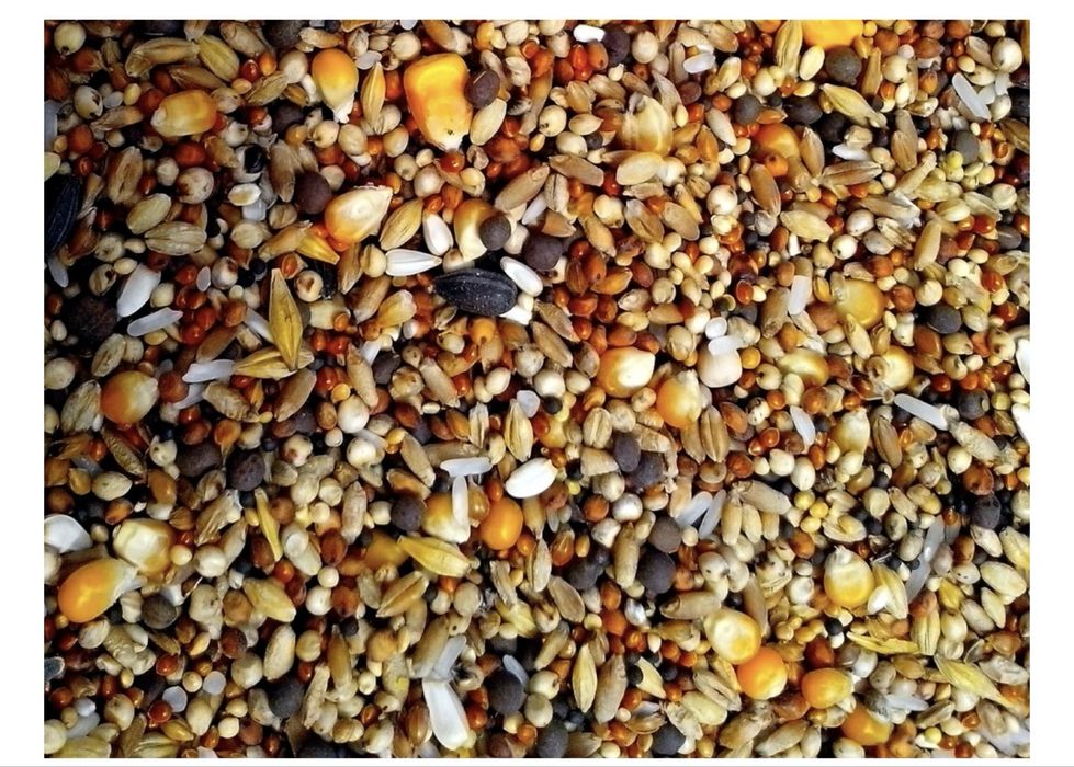 Основной корм микс для всех видов птиц