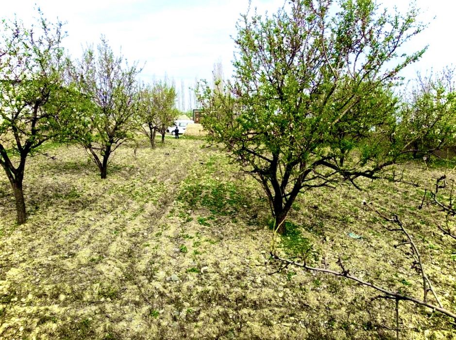 Namangan Turaqurg’on 10sotix sotiladi