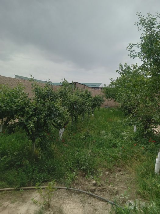 Уй сотилади янги арик