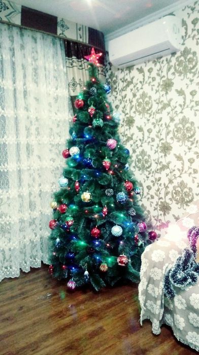 Ёлка ёршик белая