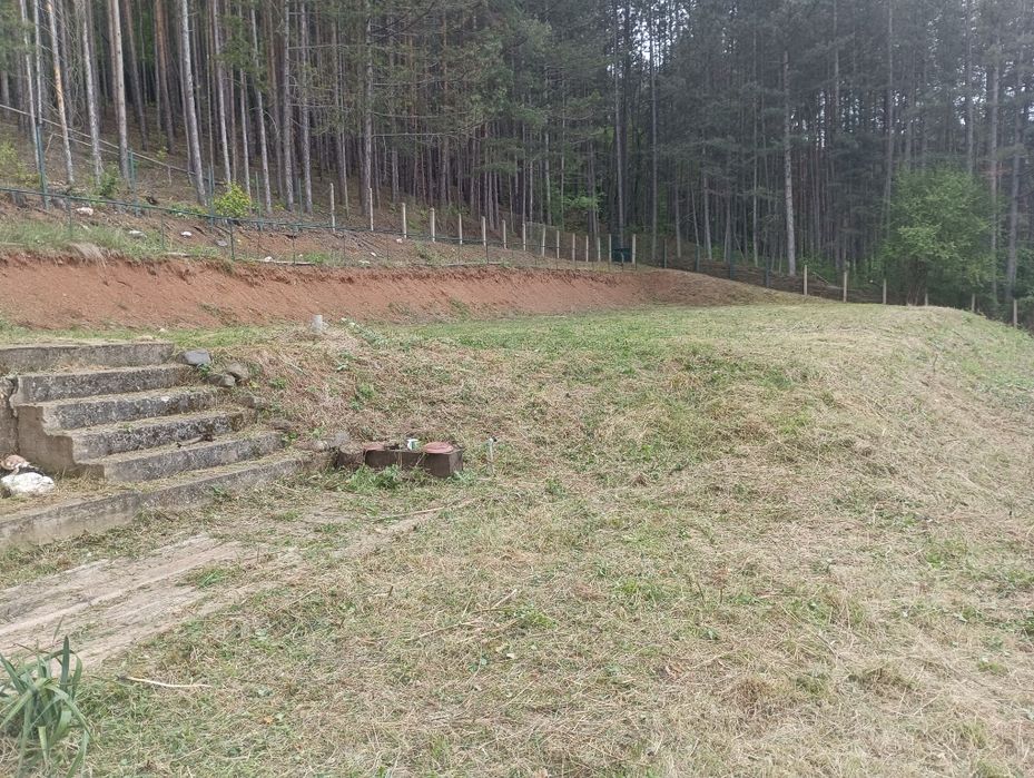 Почистване на парцели,дворове и запустели имоти