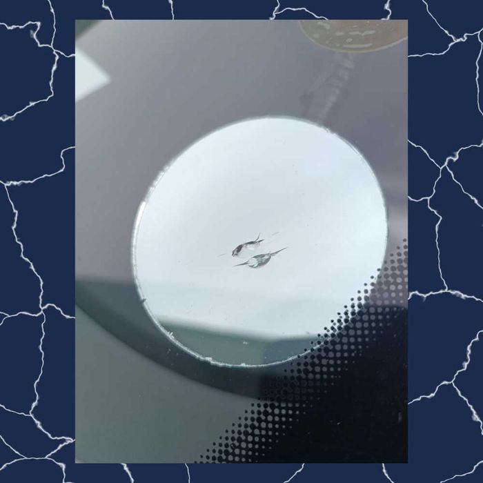 Электромобили, бизнес-класс | Ремонт лобовых стекол | Ювелирная работа