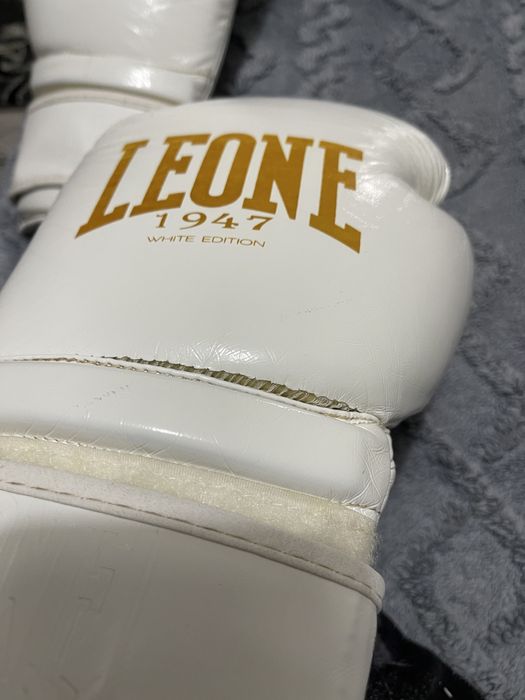 Manusi box leone