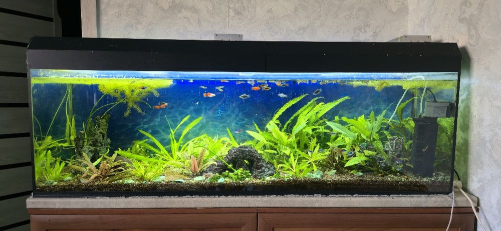 Продам аквариум пустой 270л