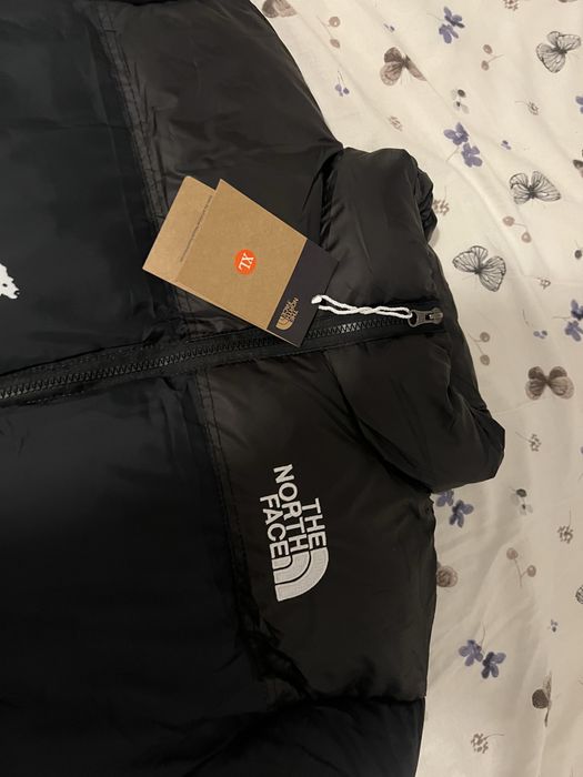 Geaca the north face