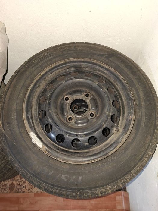 Донгелек сатамын