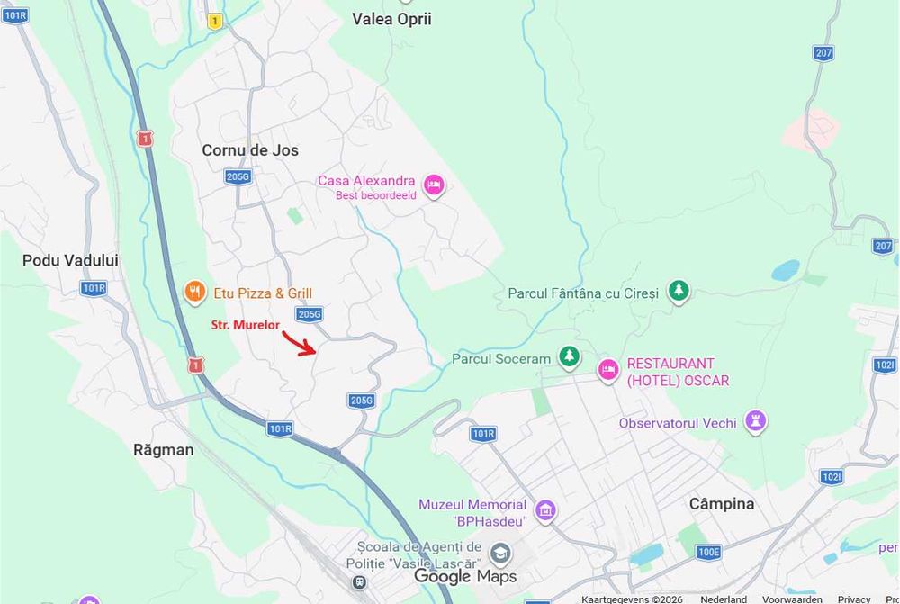 Teren de vanzare inravilan 2987mp Cornu Prahova